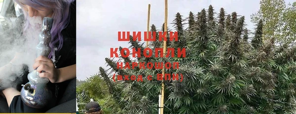 гидра Ижевск