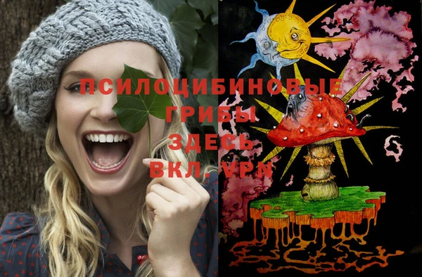 МДМА Алексеевка